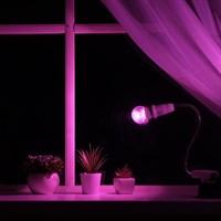 Светильники для растений (фитосветильники)