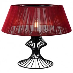 Настольная лампа декоративная Lussole Cameron LSP-0527 - фото 2441865