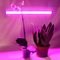 Фитосветильник для растений Ultraflash LWL-2014-04CL 9Вт 570мм - фото 3140051
