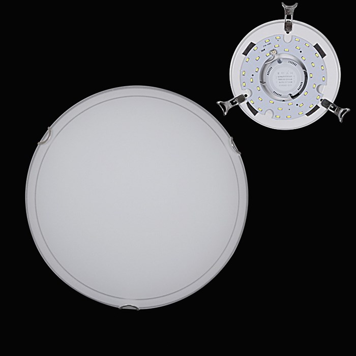 Шарлин LED (250) НПБ 01-24-001 светильник - фото 3502085