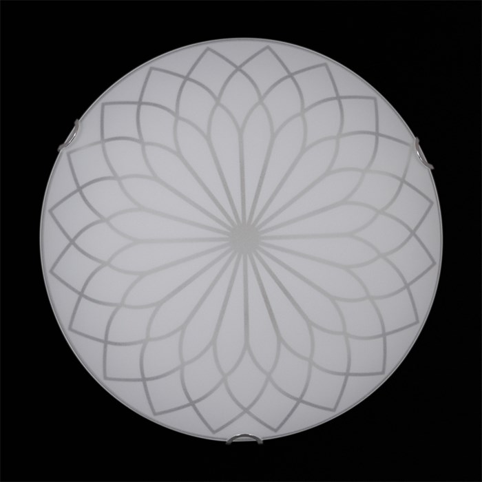 Настенно-потолочный светильник E27 Лотос мат (300) НПБ 01-2х60-001 - фото 3566162