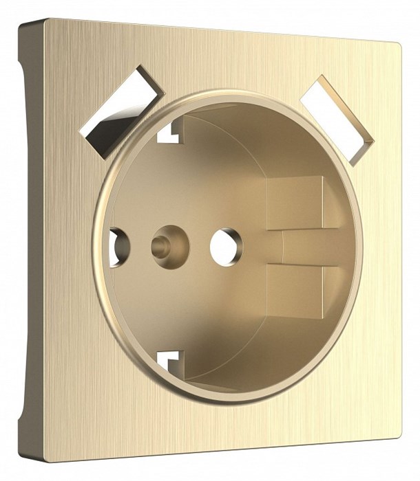 Накладка для розетки с заземлением и 2хUSB Werkel Шампань рифленый W1179510 - фото 4645369