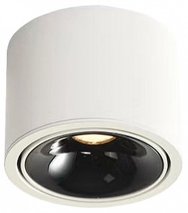 Накладной светильник Wertmark WTA.O06 WTA.O06.067.30.12 - фото 4688880