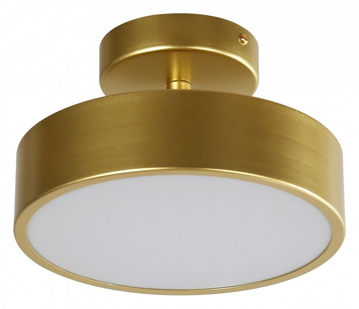 Светильник на штанге F-promo Atma 3059-2P - фото 4758051