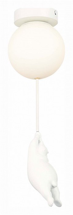 Накладной светильник EVOLUCE Modena SLE115402-01 - фото 4765551