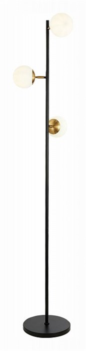 Торшер EVOLUCE Forli SLE220405-03 - фото 4765578