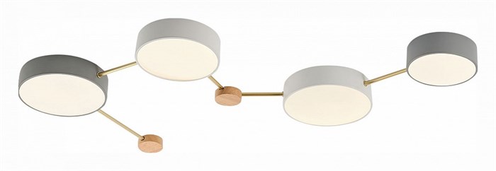 Накладной светильник EVOLUCE Dossena SLE600102-04 - фото 4765580