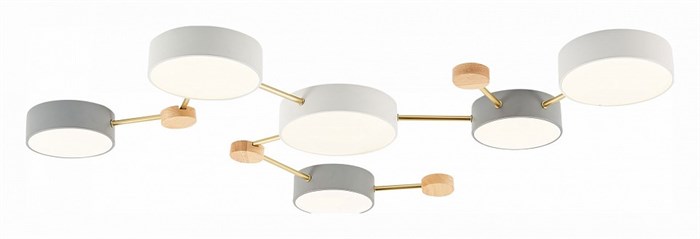 Накладной светильник EVOLUCE Dossena SLE600102-06 - фото 4765583
