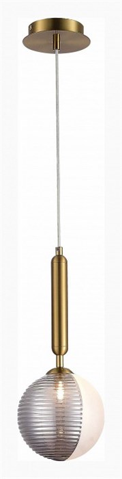 Подвесной светильник EVOLUCE Aveiro SLE1096-203-01 - фото 4765816