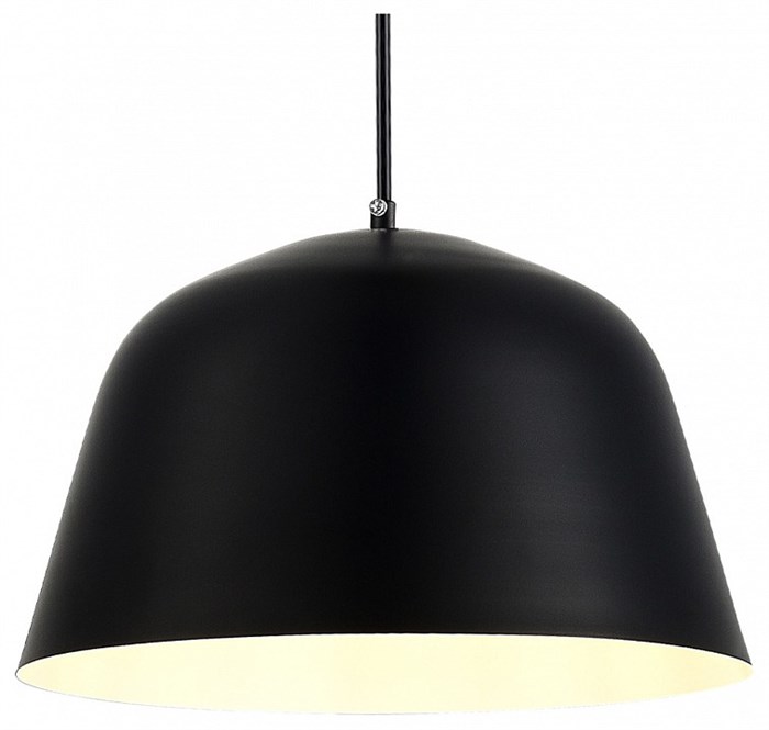 Подвесной светильник EVOLUCE Blank SLE1805-403-01 - фото 4766329