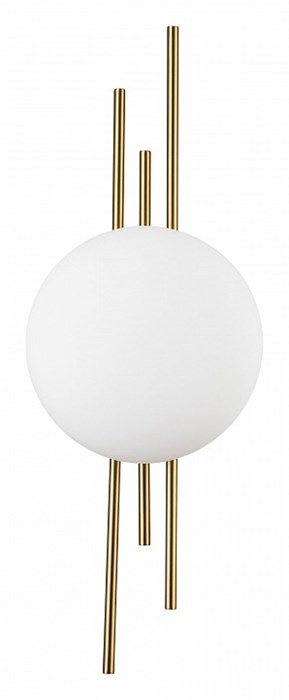 Накладной светильник Indigo Astro 14007/1W Brass - фото 4767428