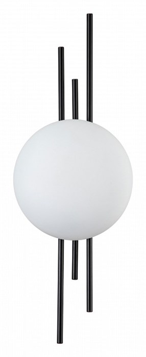 Накладной светильник Indigo Astro 14007/1W Black - фото 4767432