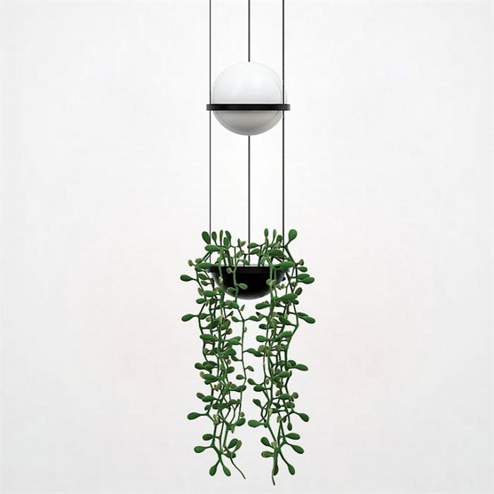Подвесной светильник Imperiumloft Palma Wall Lamp 22.93727 - фото 4769257