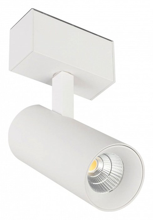 Светильник на штанге Arlight MAG-45 046591 - фото 4781026
