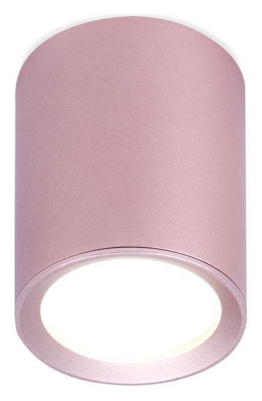 Накладной светильник Ambrella Light TN TN217 - фото 4800717