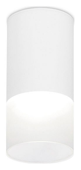 Накладной светильник Ambrella Light TN TN231 - фото 4800739