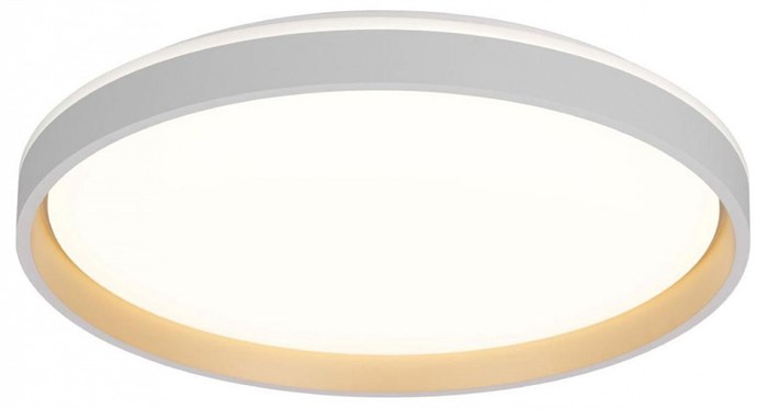 Накладной светильник Citilux ENZO CL753510G - фото 4859212