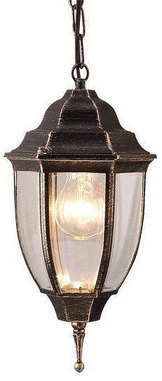 Подвесной светильник Arte Lamp Pegasus A3151SO-1BN - фото 4869165