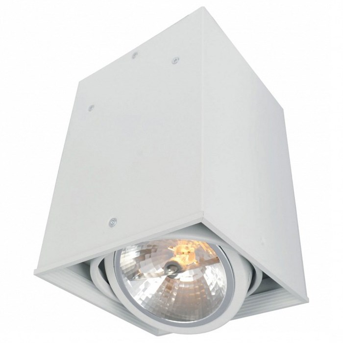 Накладной светильник Arte Lamp Cardani A5936PL-1WH - фото 4869213