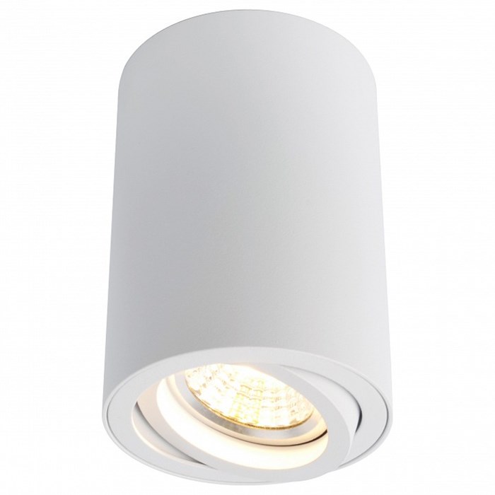 Накладной светильник Arte Lamp Sentry A1560PL-1WH - фото 4869421