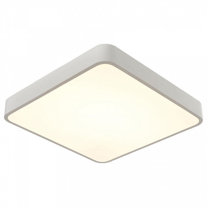 Накладной светильник Arte Lamp Scena A2663PL-1WH - фото 4869577