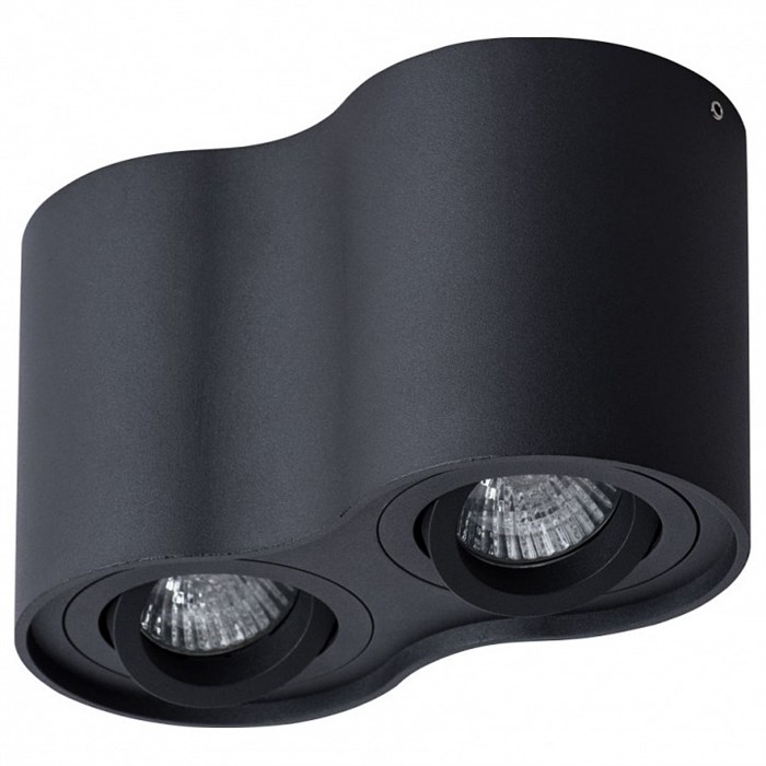 Накладной светильник Arte Lamp Falcon A5645PL-2BK - фото 4869792