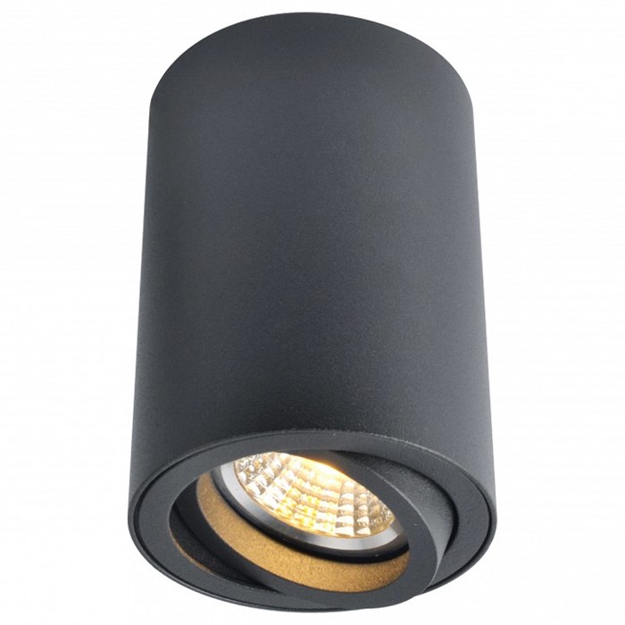 Накладной светильник Arte Lamp Sentry A1560PL-1BK - фото 4870219