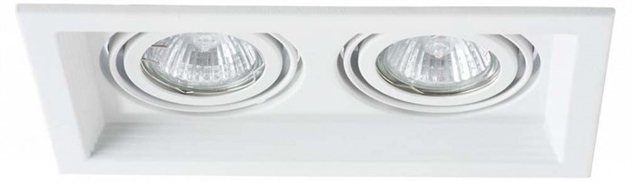 Встраиваемый светильник Arte Lamp Canis A6661PL-2WH - фото 4870301