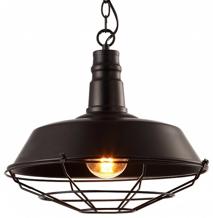 Подвесной светильник Arte Lamp Pandora A9183SP-1BK - фото 4870694