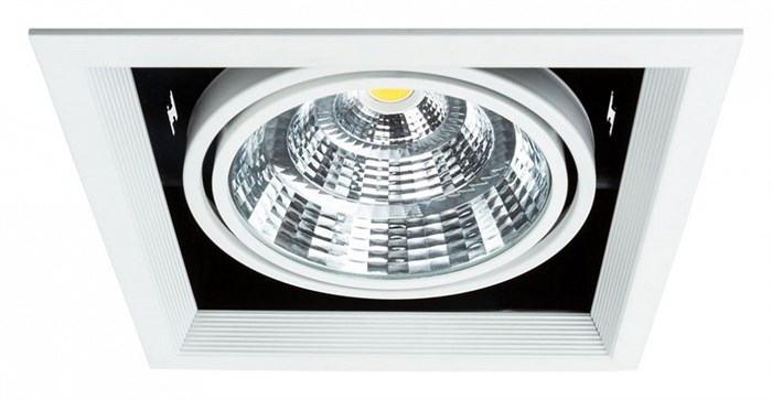 Встраиваемый светильник Arte Lamp Merga A8450PL-1WH - фото 4871099