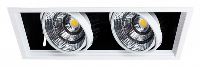 Встраиваемый светильник Arte Lamp Merga A8450PL-2WH - фото 4871106