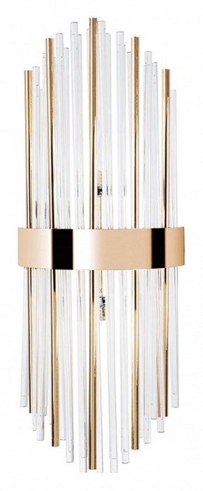 Накладной светильник Arte Lamp Acapulco A1007AP-2GO - фото 4871524