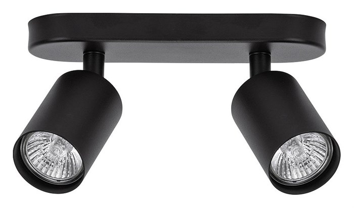 Спот Arte Lamp Aquarius A3226PL-2BK - фото 4871586