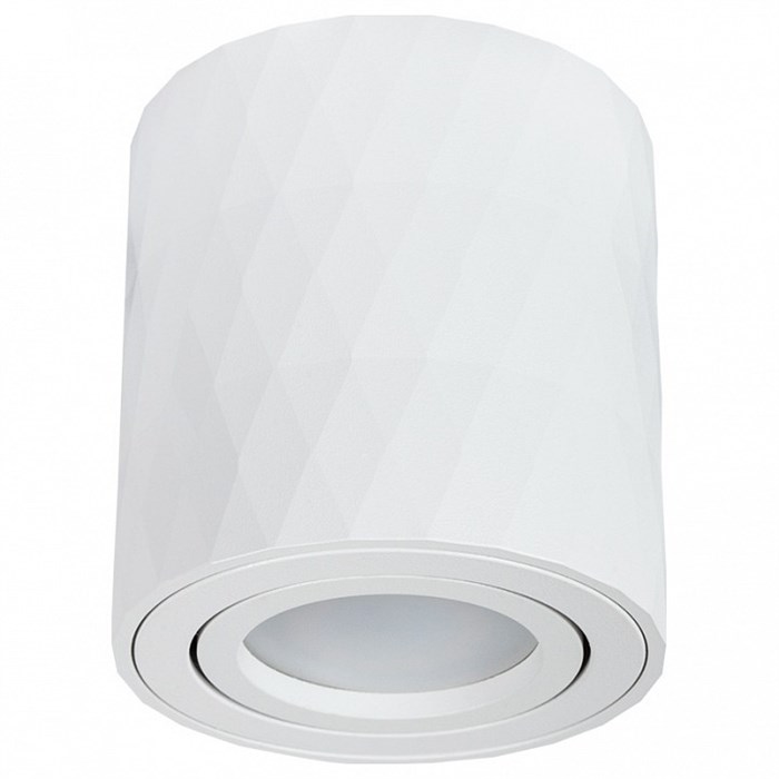 Накладной светильник Arte Lamp Fang A5559PL-1WH - фото 4871711