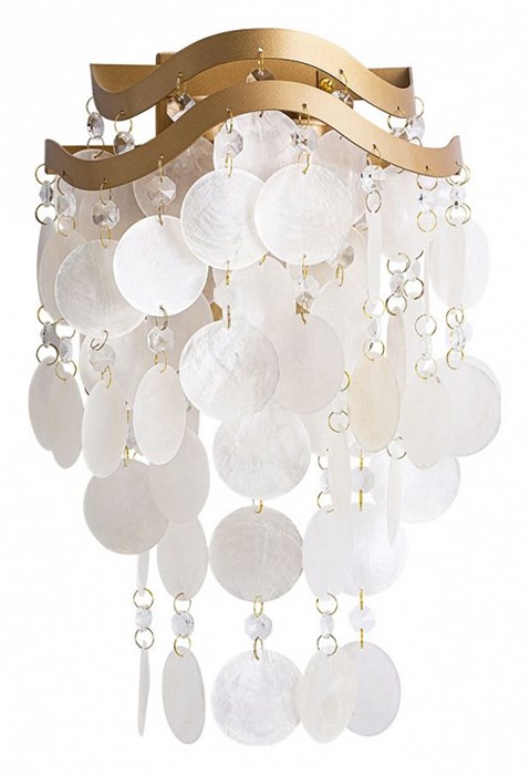 Накладной светильник Arte Lamp Pipirima A4065AP-2SG - фото 4872107