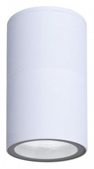 Накладной светильник Arte Lamp Mistero A3302PF-1WH - фото 4872535