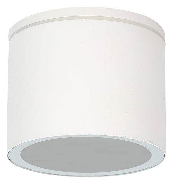Накладной светильник Arte Lamp Piautos A1913PF-1WH - фото 4873357