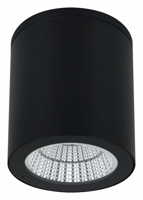 Накладной светильник Arte Lamp A1813 A1813PF-1BK - фото 4873526