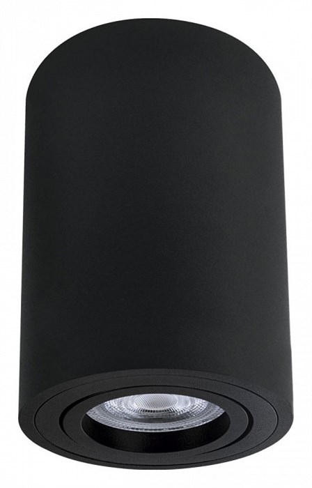 Накладной светильник Arte Lamp Sentry A1566PL-1BK - фото 4873610