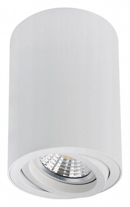 Накладной светильник Arte Lamp Sentry A1566PL-1WH - фото 4873611