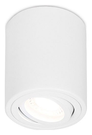 Накладной светильник Ambrella Light TN TN225 - фото 4880113
