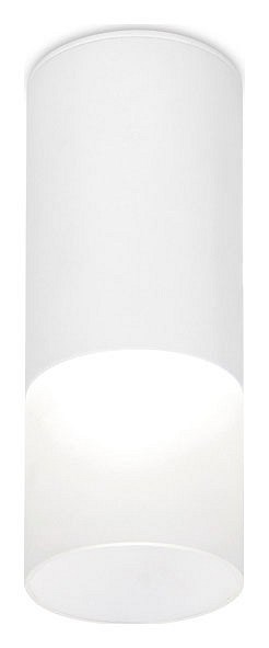 Накладной светильник Ambrella Light TN TN230 - фото 4880116