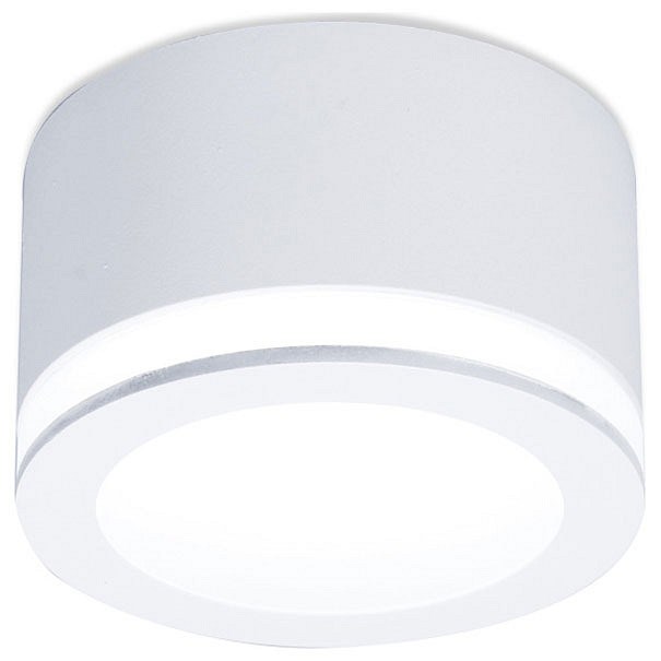 Накладной светильник Ambrella Light TN TN265 - фото 4881130