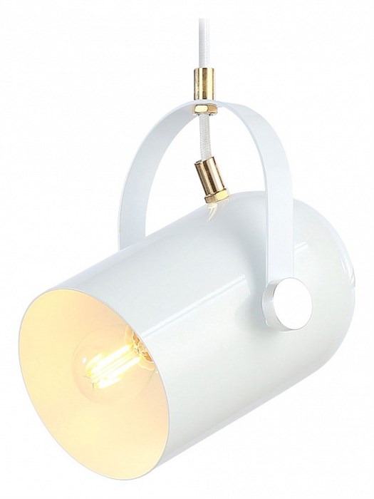 Подвесной светильник Ambrella Light TR TR8205 - фото 4891458