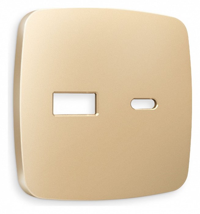Накладка для розетки type A и C Ambrella Volt Quant OP6110 - фото 4910640