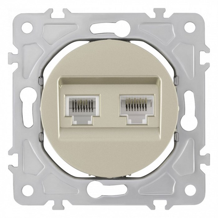 Розетка двойная RJ-11 и Ethernet RJ-45, без рамки Arte Milano am-202 202.44-1.shampan - фото 4937309