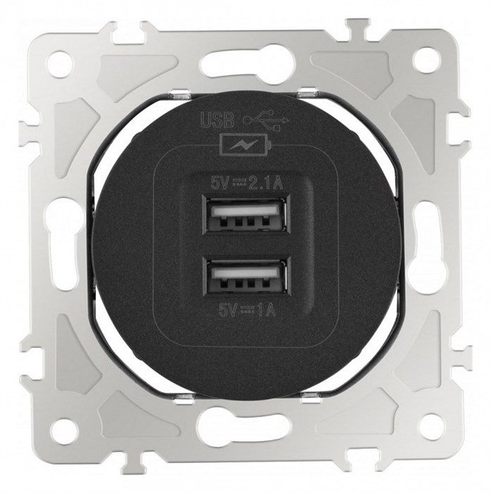 Розетка USB, без рамки Arte Milano am-202 202.46-1.black - фото 4937344