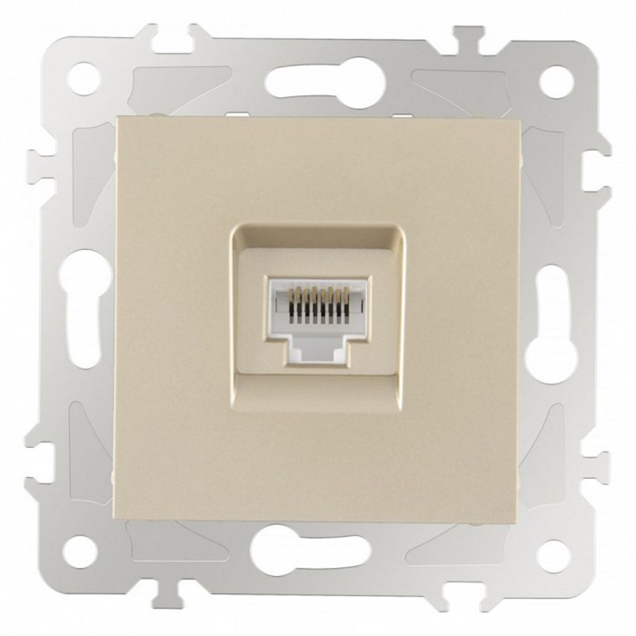 Розетка Ethernet RJ-45 без рамки Arte Milano am-203 203.45-1.shampan - фото 4937997