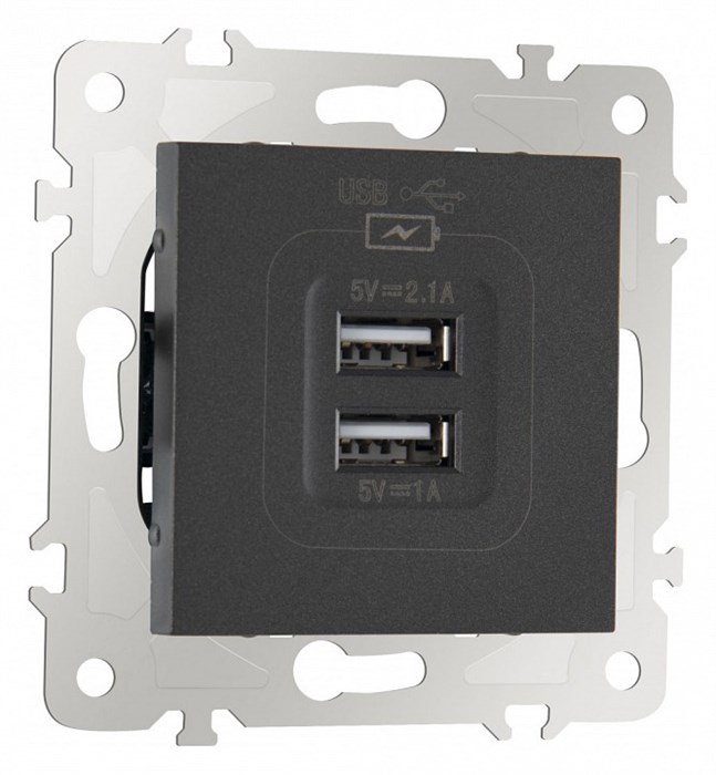 Розетка USB, без рамки Arte Milano am-203 203.46-1.black - фото 4938039