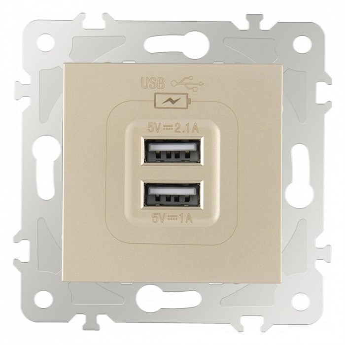 Розетка USB, без рамки Arte Milano am-203 203.46-1.shampan - фото 4938045